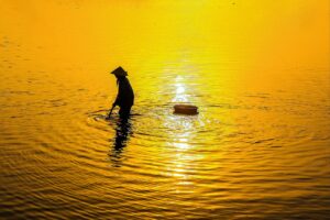 ツリーハウスに宿泊する子連れ家族におすすめの過ごし方は？