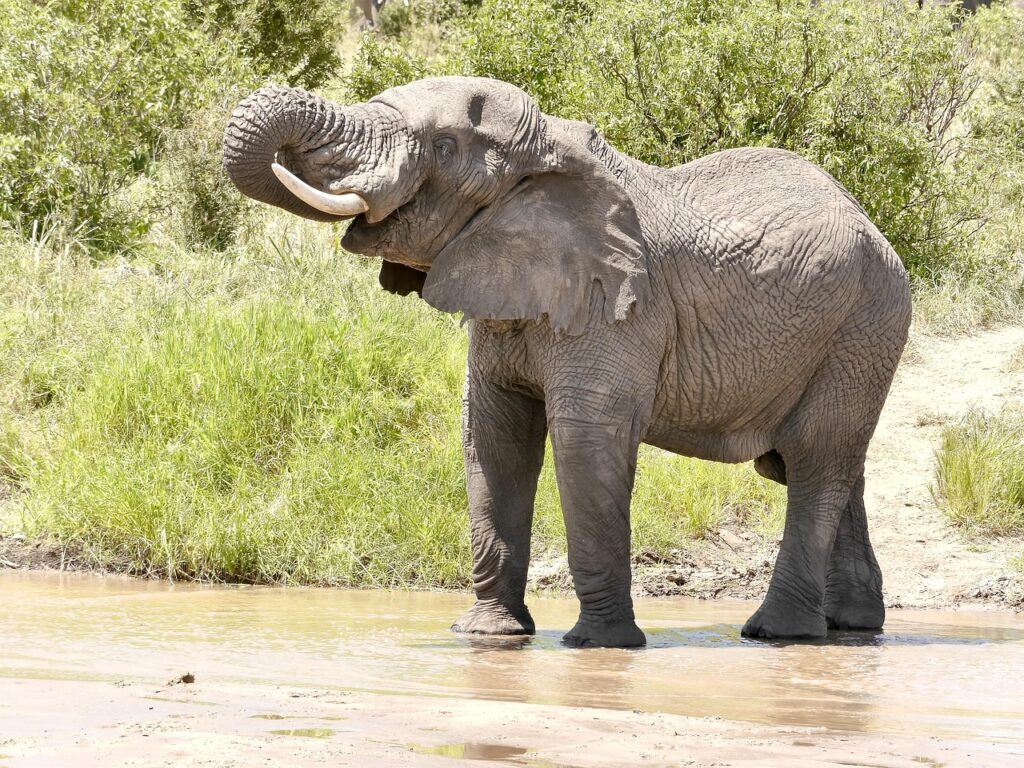 ゴールデンウィークにおすすめの自然体験は子連れで楽しめる？