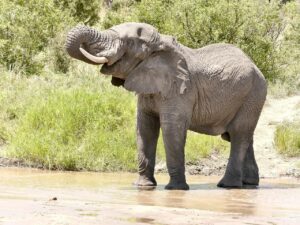 ゴールデンウィークにおすすめの自然体験は子連れで楽しめる？