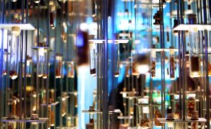 ゴールデンウィークに田舎で子供と楽しめる体験は？