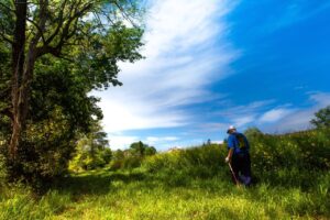 ゴールデンウィークに子連れで楽しむ自然散策のおすすめスポットは？