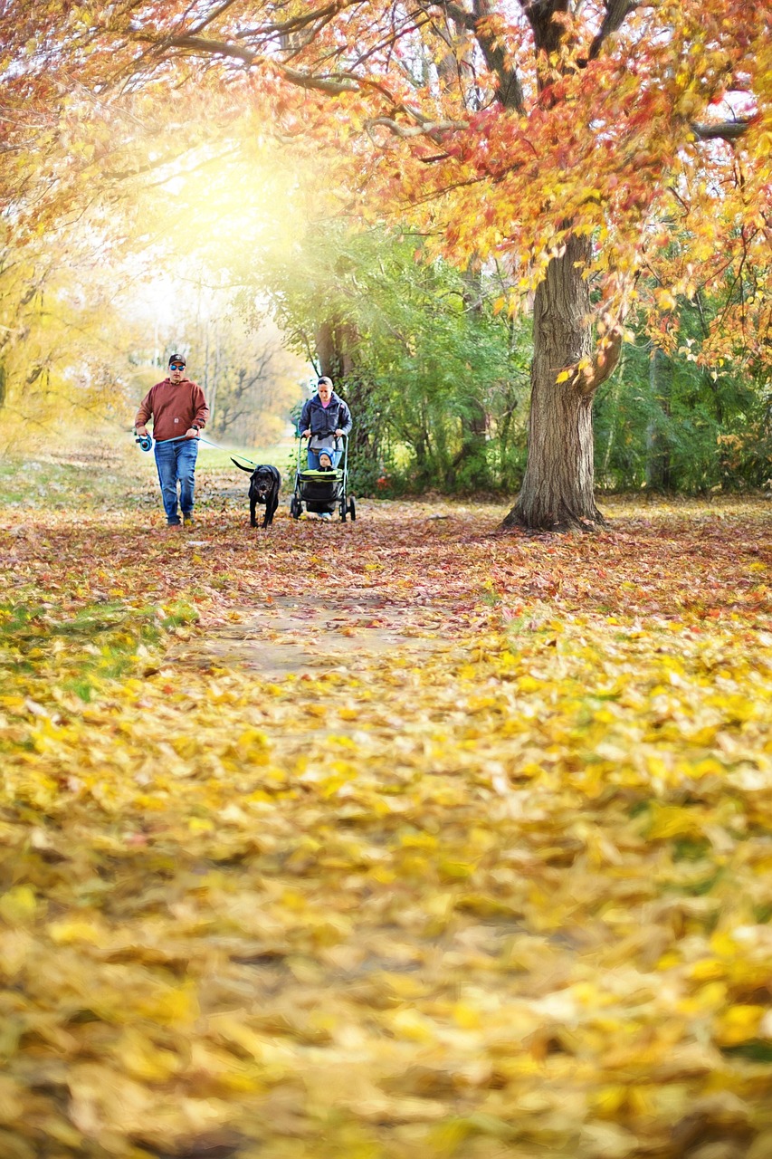 GWに家族で楽しむ散歩コースの見つけ方は？