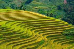 ゴールデンウィークにおすすめの家族旅行で楽しめる農業体験は？