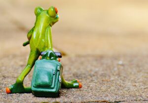 ゴールデンウィークの旅行で食事はどう選ぶ？